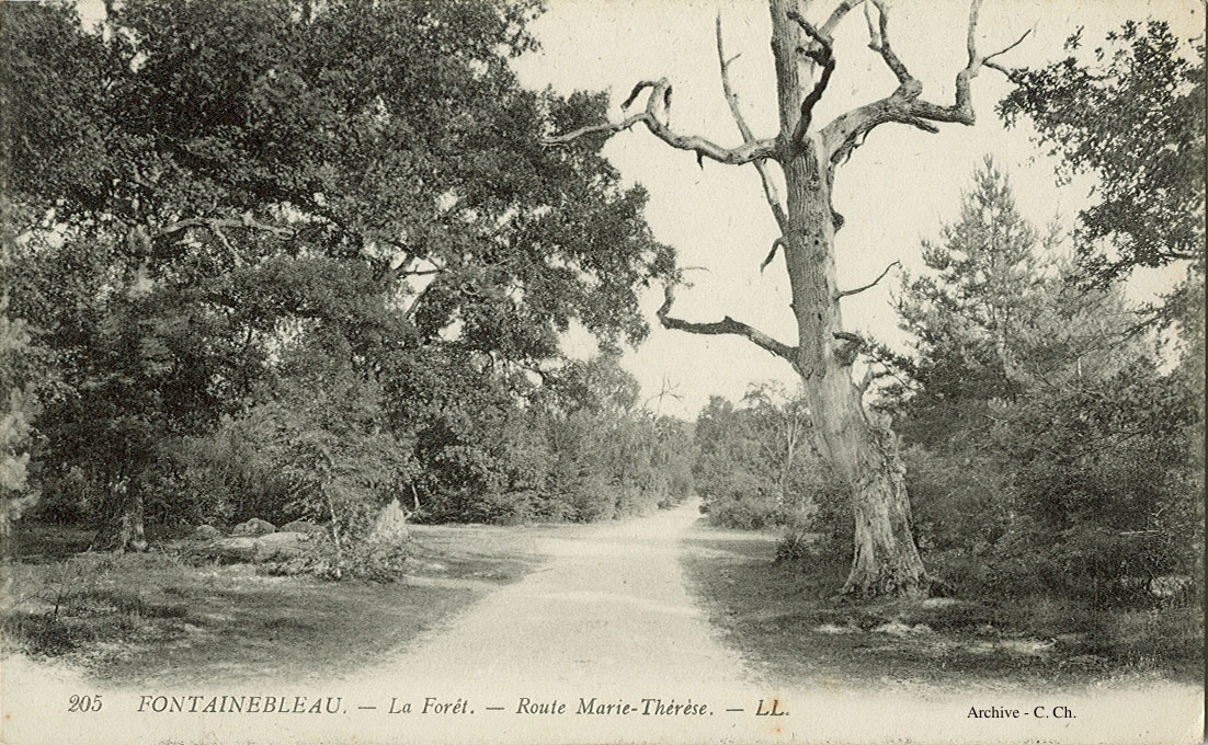 Route Marie Thérèse